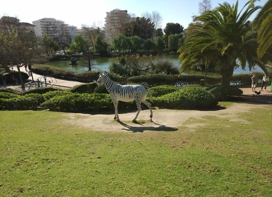 Randmar Apartment Costa Del Sol Benalmadena Spain